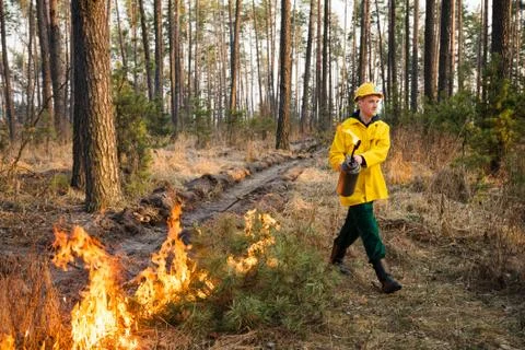 Firefighter using a controlled fire in the forest Stock Photos