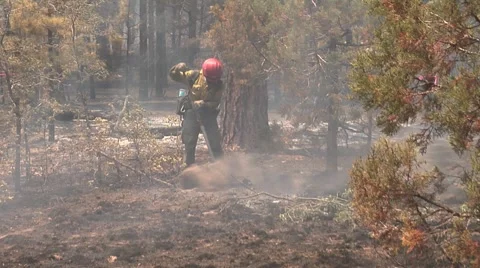 Firefighter using hoe to mop up burned over land Stock Footage 40752123