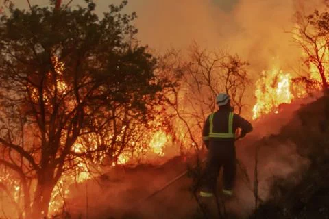 Firefighter working on forest fire Stock Photos