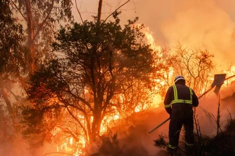 Firefighter working on forest fire Stock Photos