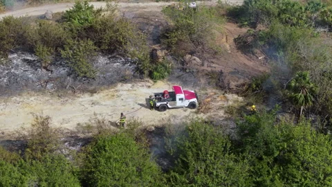 Firefighters battle a vegetation fire burning through dry forest in Florida Stock Footage 311749841