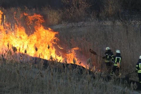 Firefighters battle a wildfire 05 Stock Photos