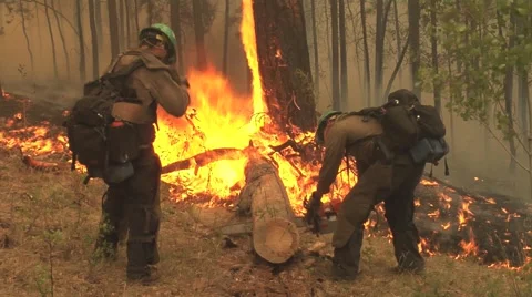 Firefighters with chain saw cutting log with fire in background Stock Footage 40751674