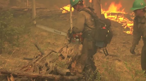 Firefighters with chain saw cutting log being chased by fire Stock Footage 40752963