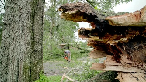 Firefighters chainsaw fallen trees after Hurricane Irma in Florida Stock Footage 80361176