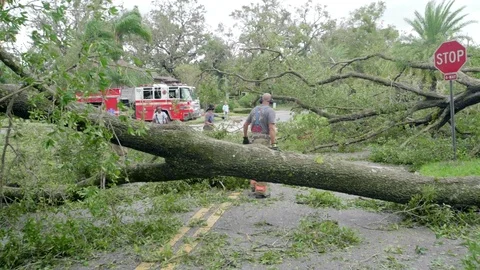 Firefighters clear trees from the streets or Florida after Hurricane Stock Footage 80340305