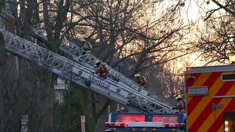 Firefighters climbing numerous ladders Stock Footage 138542194