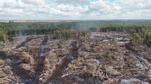 Firefighters continue to tackle peatland fire at Holme Fen Video stock 342732112