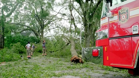 Firefighters cut branches from fallen trees in the street after Hurricane Irma. Stock Footage 80361412