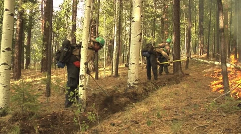 Firefighters digging fireline with pulaski Stock Footage 40752273