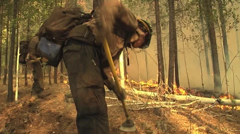 Firefighters digging fireline with pulaski Stock Footage 40752850