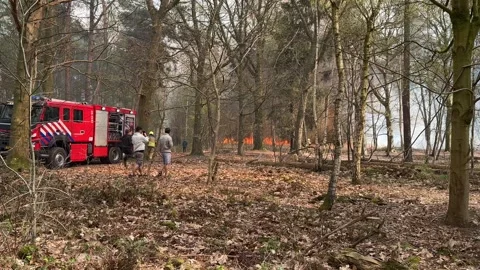 Firefighters during large wildfire with flames raging in the background Stock Footage 306523961