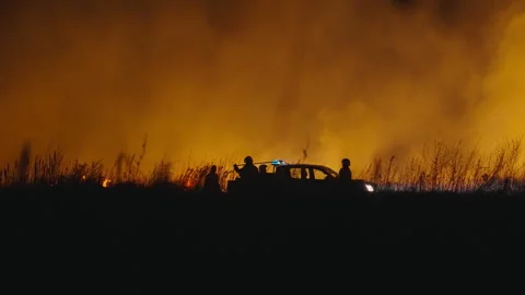 Firefighters estinguishing forest bushfire fire at night Stock Footage 308657879