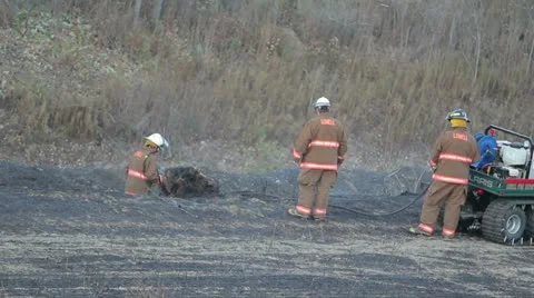Firefighters in Field Video stock 12439569