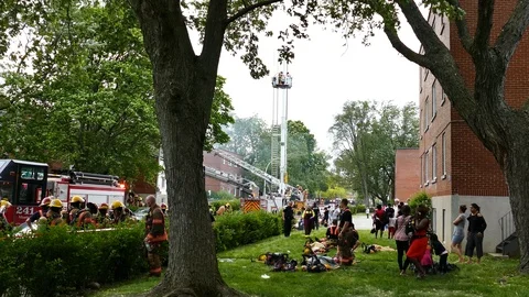 Firefighters on the field Stock Footage 114807645