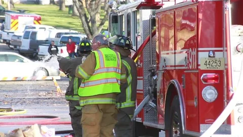 Firefighters by Firetruck Video stock 73896606