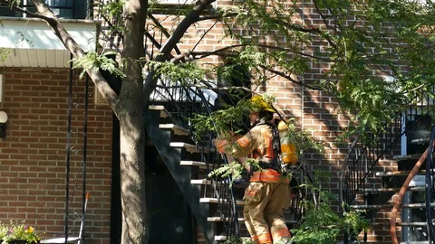 Firefighters with neighbour Stock Footage 116025549