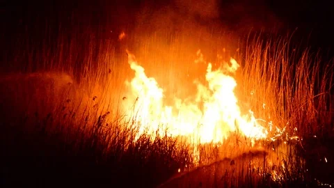 Firefighters at night Stock Footage 126355571