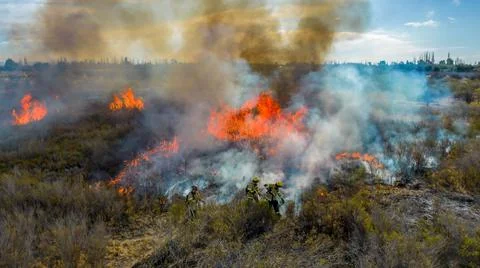 Firefighters put out a fire in the forest. Aerial view. Stock Photos