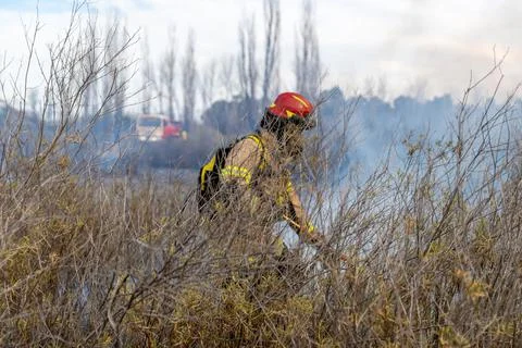 Firefighters put out a fire in the forest Stock Photos