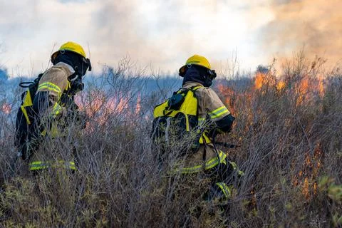 Firefighters put out a fire in the forest Stock Photos