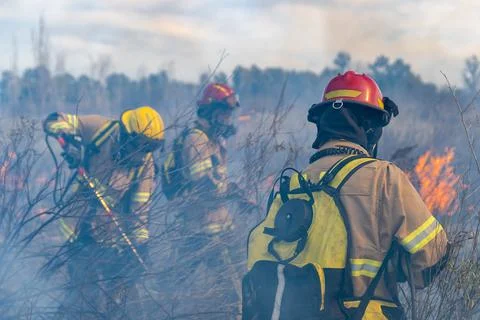 Firefighters put out a fire in the forest Stock Photos