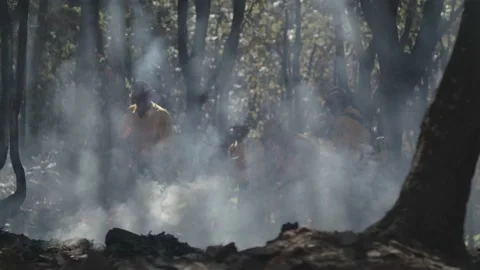 Firefighters putting out forest fire Video stock 150479490