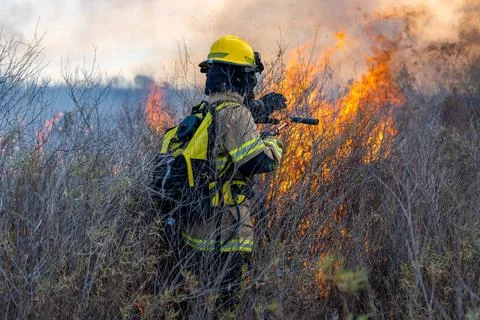 Firefighters putting out forest fire Stock Photos