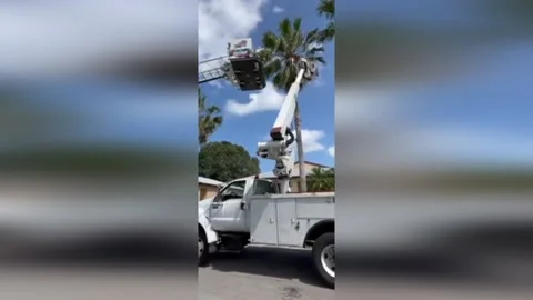 Firefighters Rescue Stranded Tree Trimmer in St Lucie County, USA Stock Footage 277096618