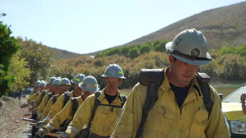 Firefighters single file return from hours of Wildfire suppression. Stock Footage 199172093