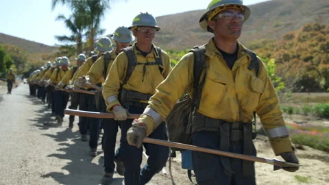 Firefighters single file return with modified shovel from Wildfire suppression. Stock Footage 199171851