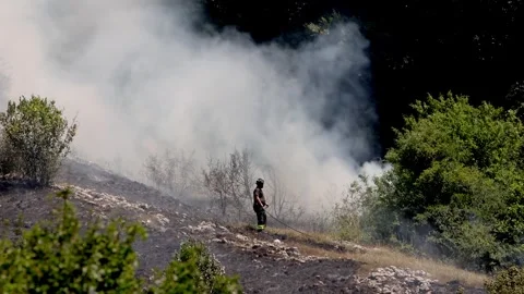 Firefighters surrounded by smoke as they damp down the ashes of a forest fire 스톡 동영상 341059795