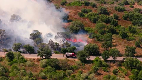 Firefighters tackle a scrub fire from a road shoulder near Olbia, Sardinia Video stock 345725855