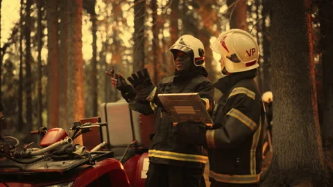 Firefighters Using Laptop Computer in Wildland Fire Stock Footage 224554118