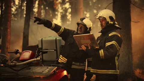 Firefighters Using Laptop Computer in Wildland Fire Stock Footage 224554551