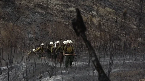 Firefighters walking through the ashes of a forest in Reno, Nevada Stock Footage 79736428