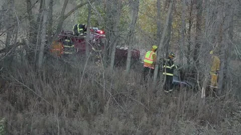 Firefighters in Woods Video stock 12439797