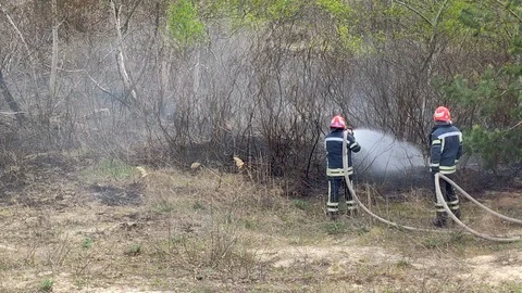 Firefighters work hard. Extinguish a fire Stock-Footage 129001539