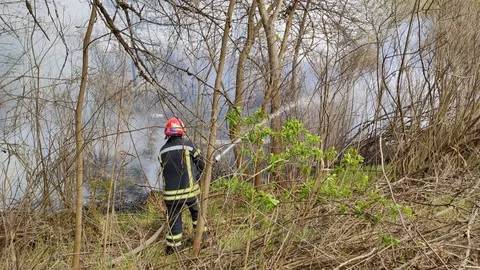 Firefighters work hard. Extinguish a fire 스톡 동영상 129001547