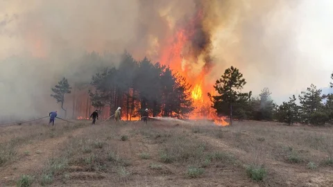 Firefighters work hard. Extinguish a fire Stock-Footage 129311596