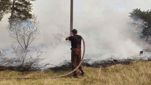 Firefighters work hard, Walk through Smokey Forest During Wildfire. Stock-Footage 129311623