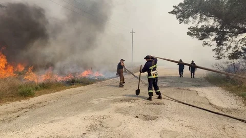 Firefighters work hard, Walk through Smokey Forest During Wildfire. 스톡 동영상 129311646
