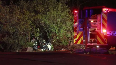 Firefighters Working On Scene Video stock 81833216