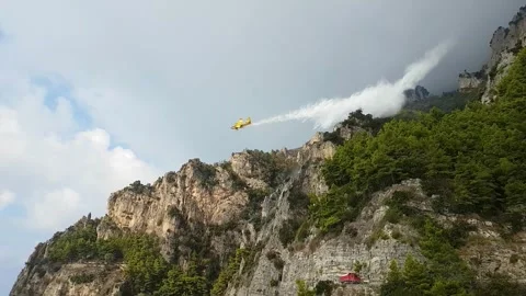 Firefighting airplane dropping water on a burning mountain slope forest fire. Stock Footage 335796562