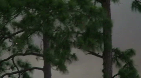 Firefighting Stock Footage 490723