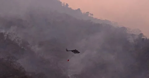 Firefighting Helicopter Battling Wildfire with Thick Smoke during Dawn Stock Footage 241191340