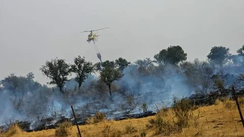 Firefighting helicopter dropping water Foto stock