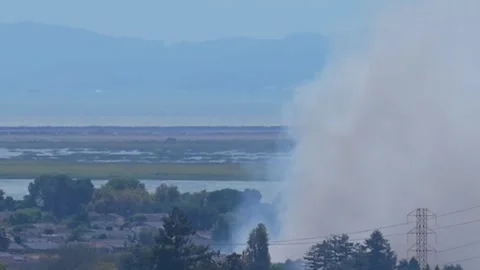 Firefighting Helicopter Hovers Over a Marsh Fire at the Edge of a Neighborhood Stock Footage 342462294