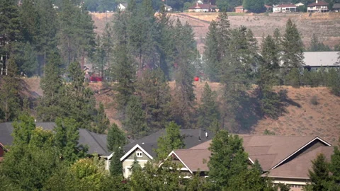Firefighting Helicopter Urban Rural Interface Stock Footage 312712250