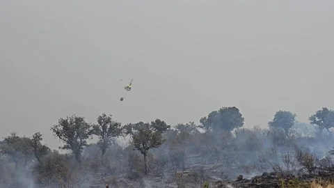Firefighting helicopter at work Stock Footage 330925575